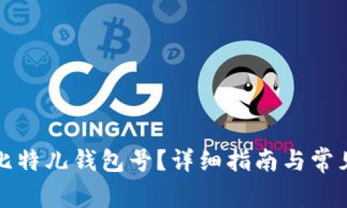 如何查询比特儿钱包号？详细指南与常见问题解答