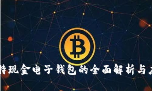 比特现金电子钱包的全面解析与应用