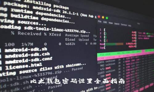 比太钱包密码设置全面指南