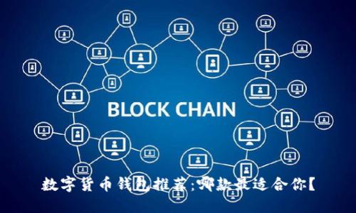 数字货币钱包推荐：哪款最适合你？