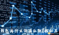   baioti比特派钱包为什么没有私钥？探秘其背后设