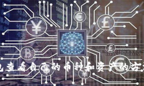 TP钱包查看自己的币种和资产的方法指南